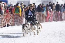 Lenk 2013